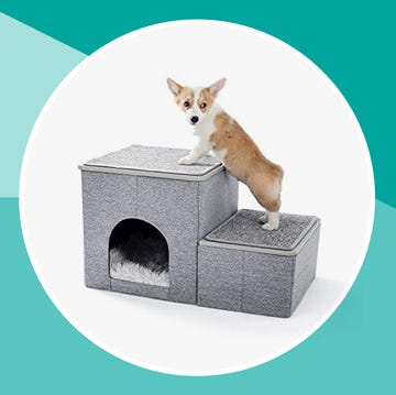 pet stairs pet stairs