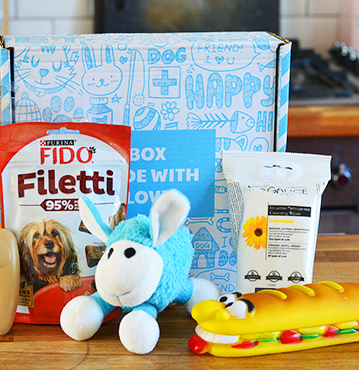 The best dog subscription boxes to try now