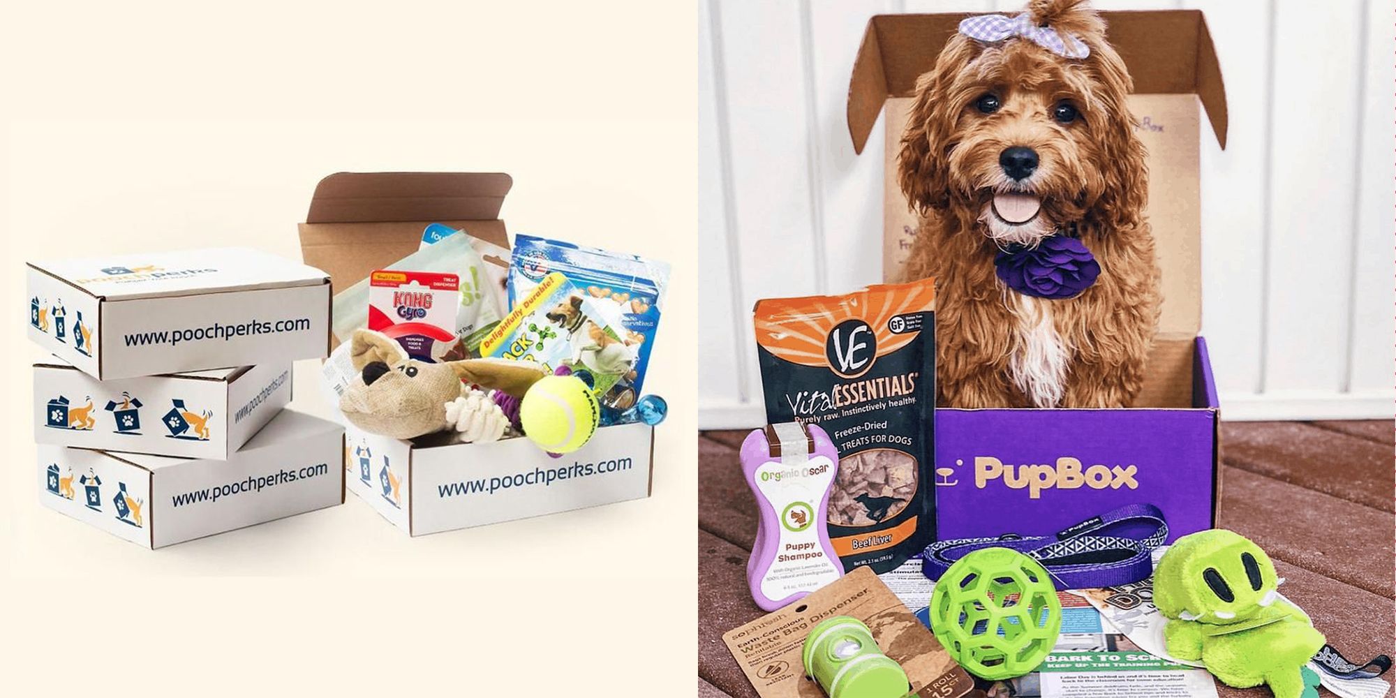Dog moms and fur babies monthly box - Cratejoy