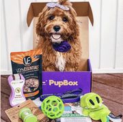 dog subscription boxes