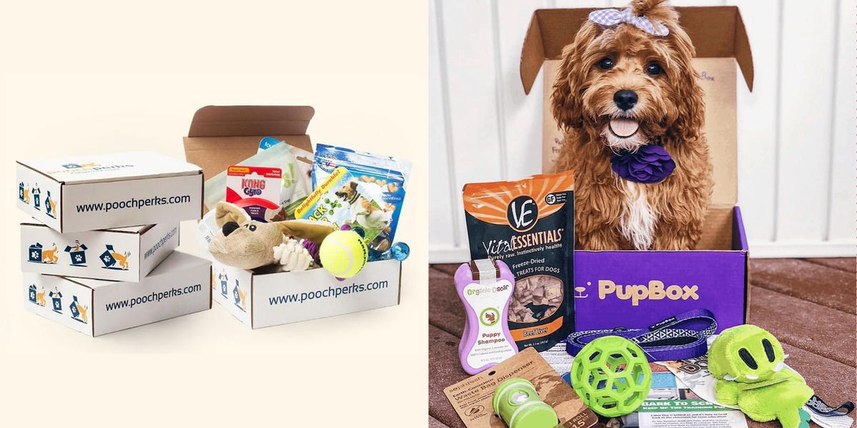 what is the best monthly dog box