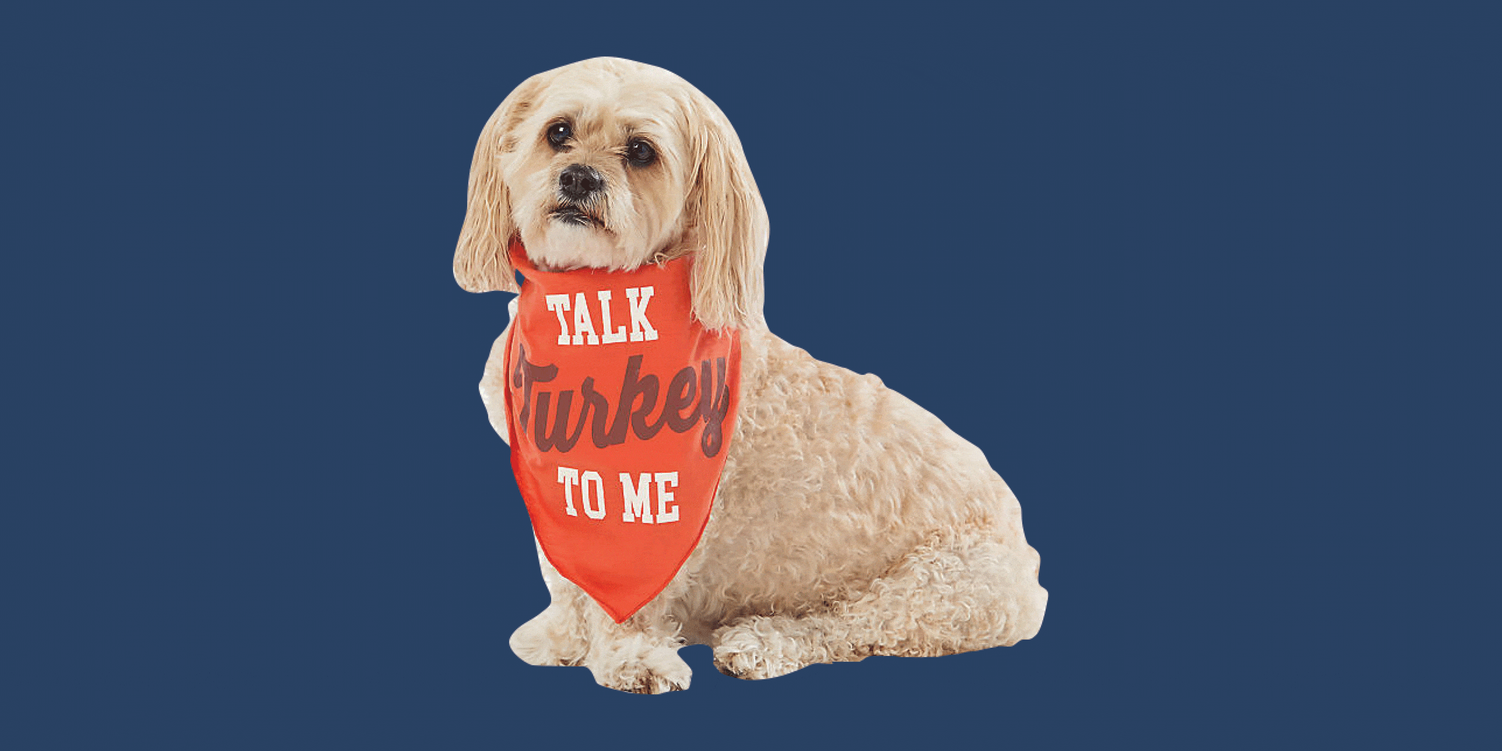 PetSmart Has Cute New Thanksgiving Costumes for Dogs