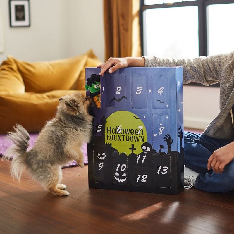 Shop Frisco's 13Day Halloween Advent Calendar for Dogs