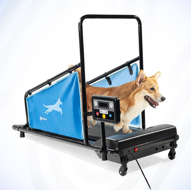 Advantages of non-electric dog treadmills