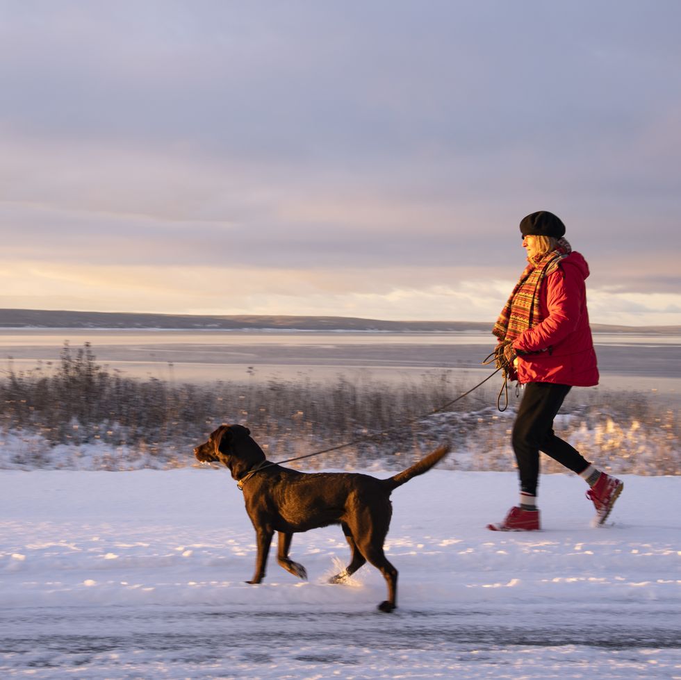 a woman enjoying a walk with her dog on a beautiful snowy morning
