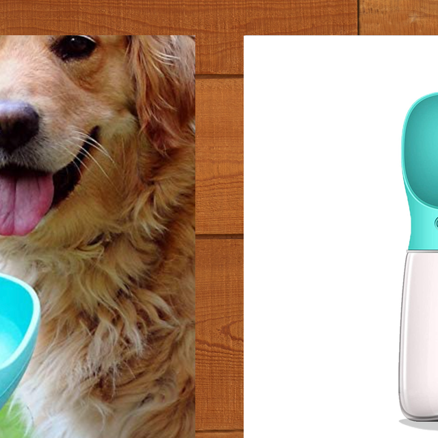 2 in 1 Portable Outdoor Dog Water Bottle - FunnyFuzzy