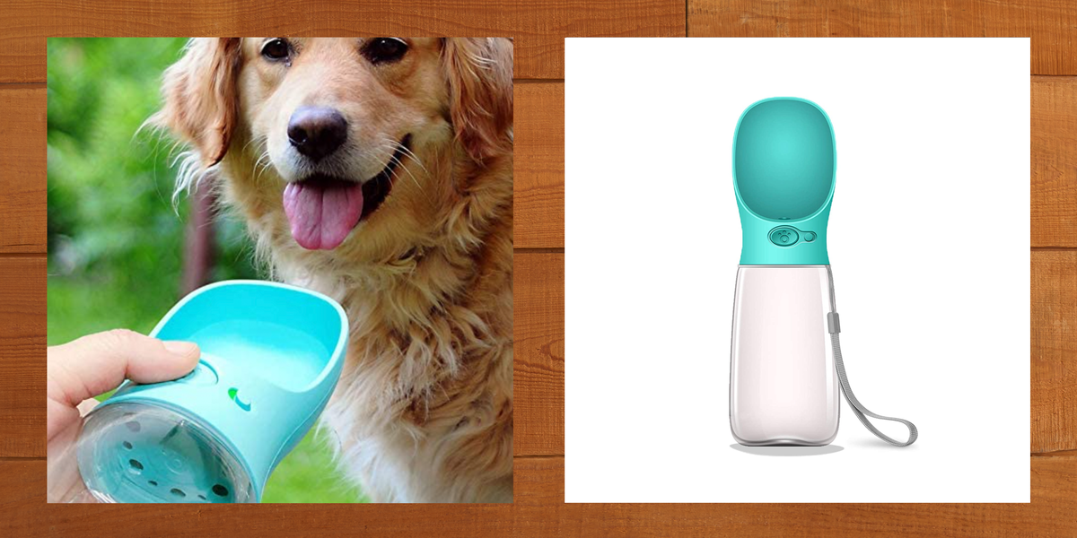 The 8 Best Portable Dog Water Bottles and Travel Bowls