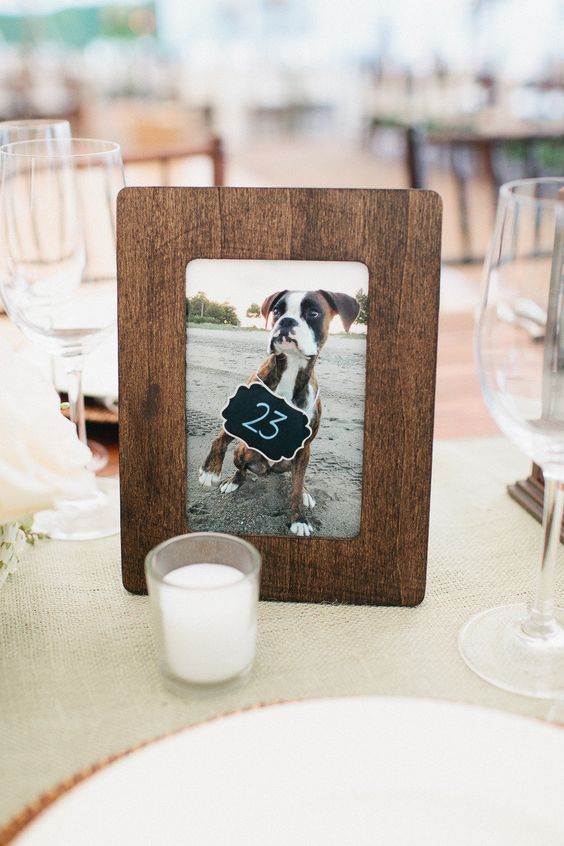 dog wedding ideas table number