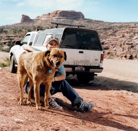 Dog, Canidae, Mode of transport, Transport, Adventure, Wildlife, Vehicle, Geological phenomenon, Dirt road, Safari, 