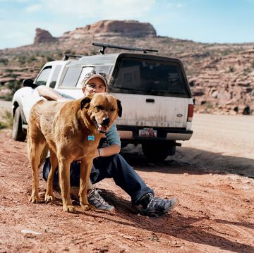 Dog, Canidae, Mode of transport, Transport, Adventure, Wildlife, Vehicle, Geological phenomenon, Dirt road, Safari, 