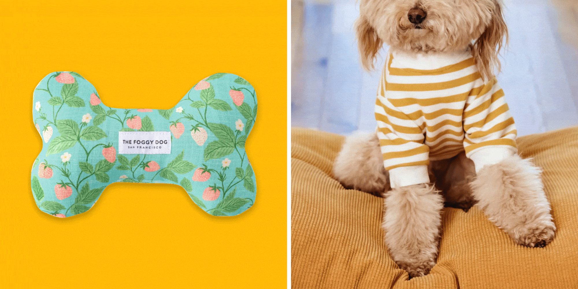Shop the best dog gifts and gift ideas for dogs, dog moms and dog dads