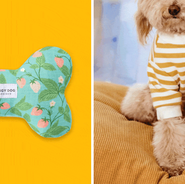 40 Best Dog Gifts in 2024 - Unique Gift Ideas for Dogs