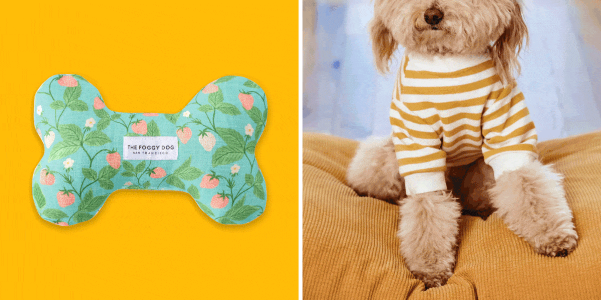 best gifts for dog moms 2023