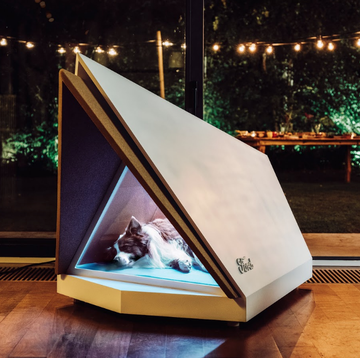 Noise-Canceling Doghouse Makes Loud Sounds More Bearable