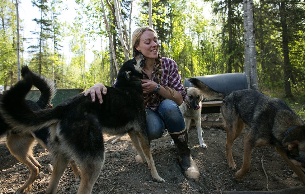 dog kisses