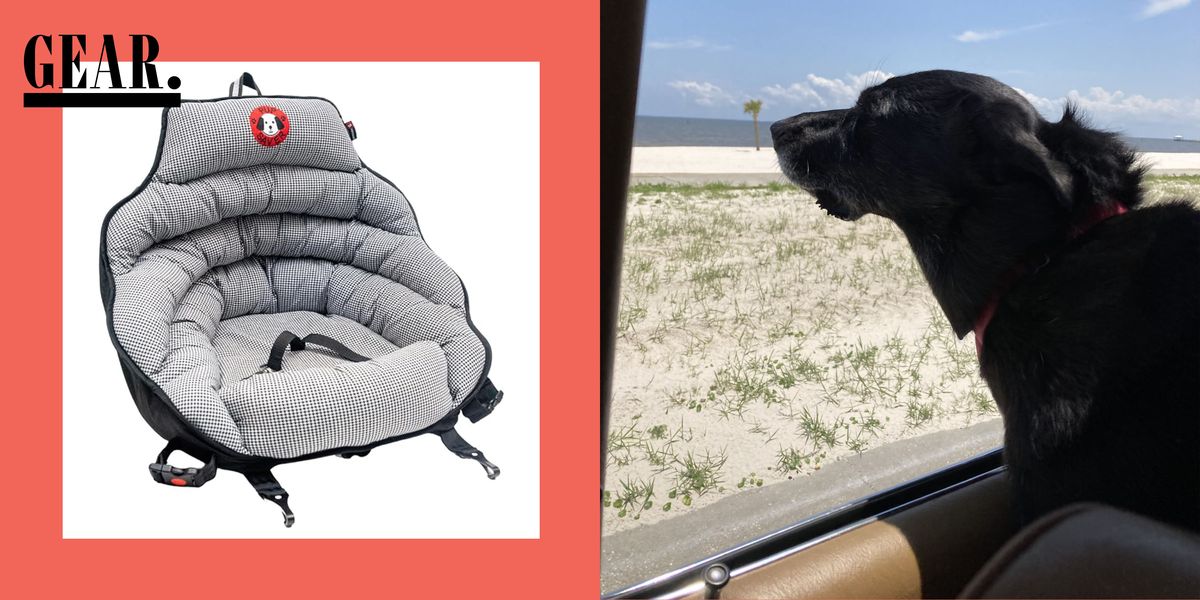 Best Dog Car Seats, Carriers, and Restraints for Pet Owners