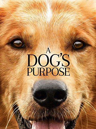 20+ Best Dog Movies to Watch - Best Movies About Dogs to Stream