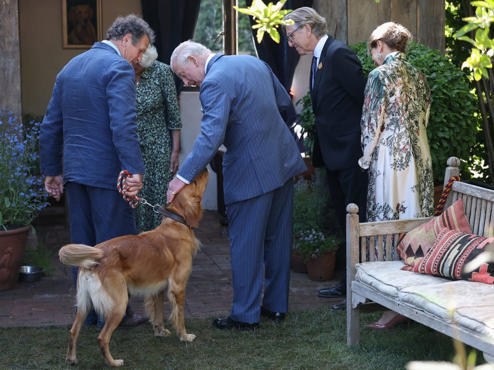 london, england may 20: king charles iii, patron of the royal horticultural society, pets ned, the dog of british broadcaster british broadcaster monty don during a visit to the rhs chelsea flower show at royal hospital chelsea on may 20, 2025 in london, england. (photo by toby melville wpa pool / getty images)