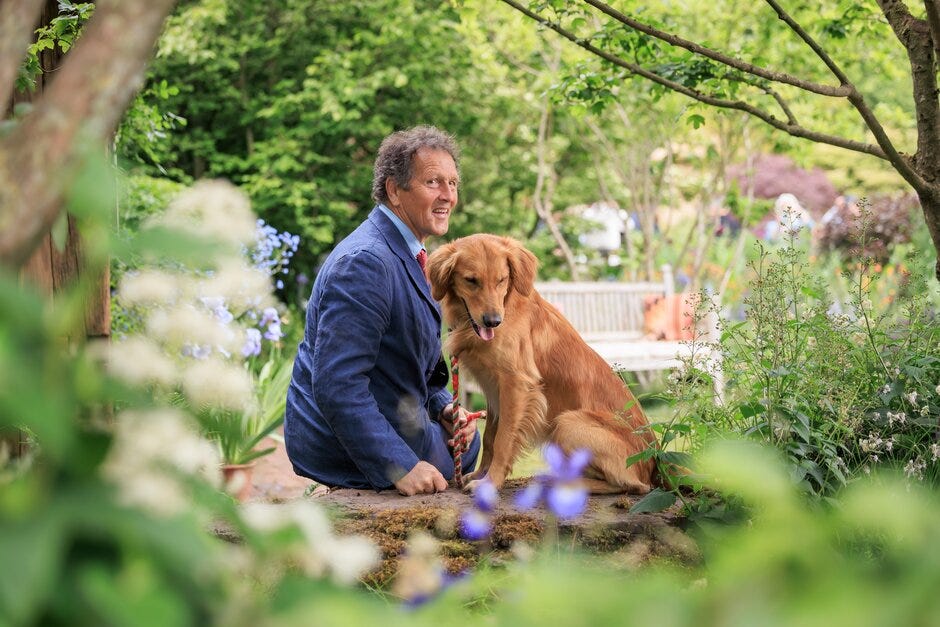 a person sits in a garden with a golden retriever dog