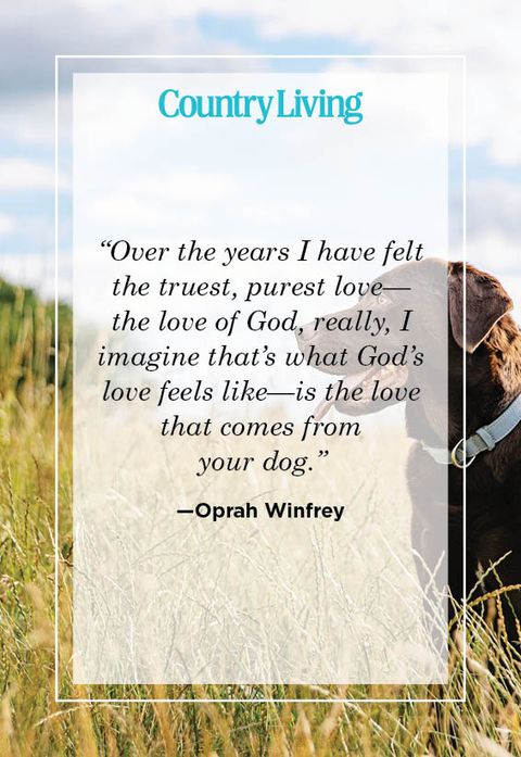 oprah winfrey quote about dogs