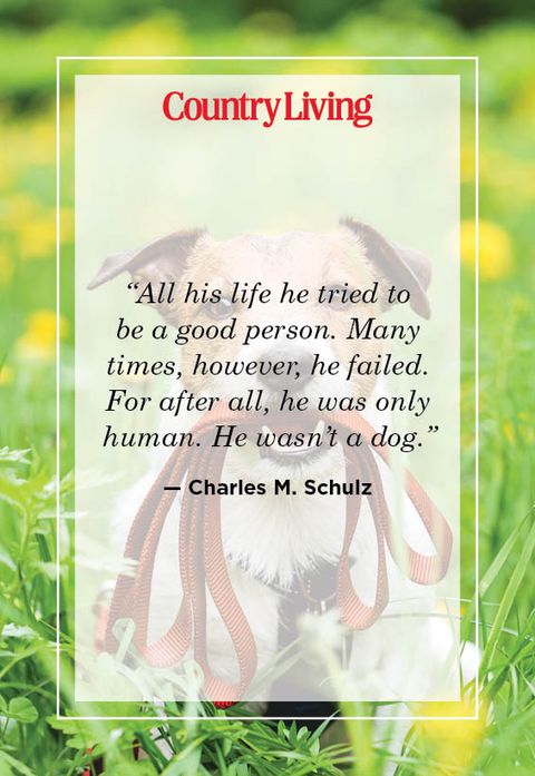 charles m schulz quote about dogs