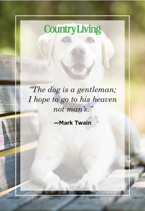 mark twain quote about dogs