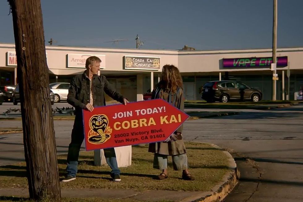 How do Valley dojos feel about Netflix's show 'Cobra Kai'? - Los Angeles  Times