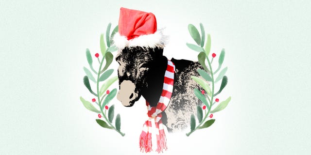 Dominick the Donkey Christmas Song Meaning - My Life Trying to