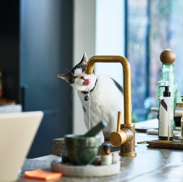 best kitchen faucets best kitchen faucets
