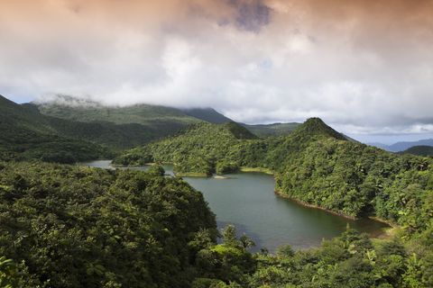 dominica, caribbean, freshwater lake in morne trois pitons national park listed as world heritage by unesco