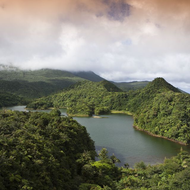 dominica, caribbean, freshwater lake in morne trois pitons national park listed as world heritage by unesco