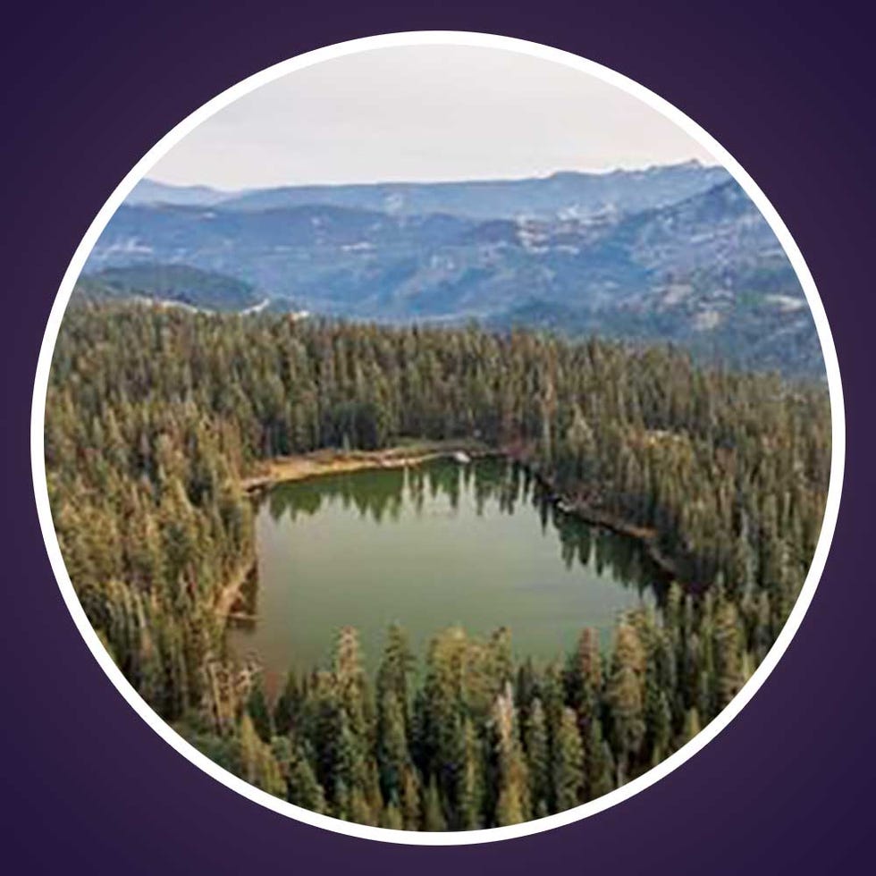 donner pass