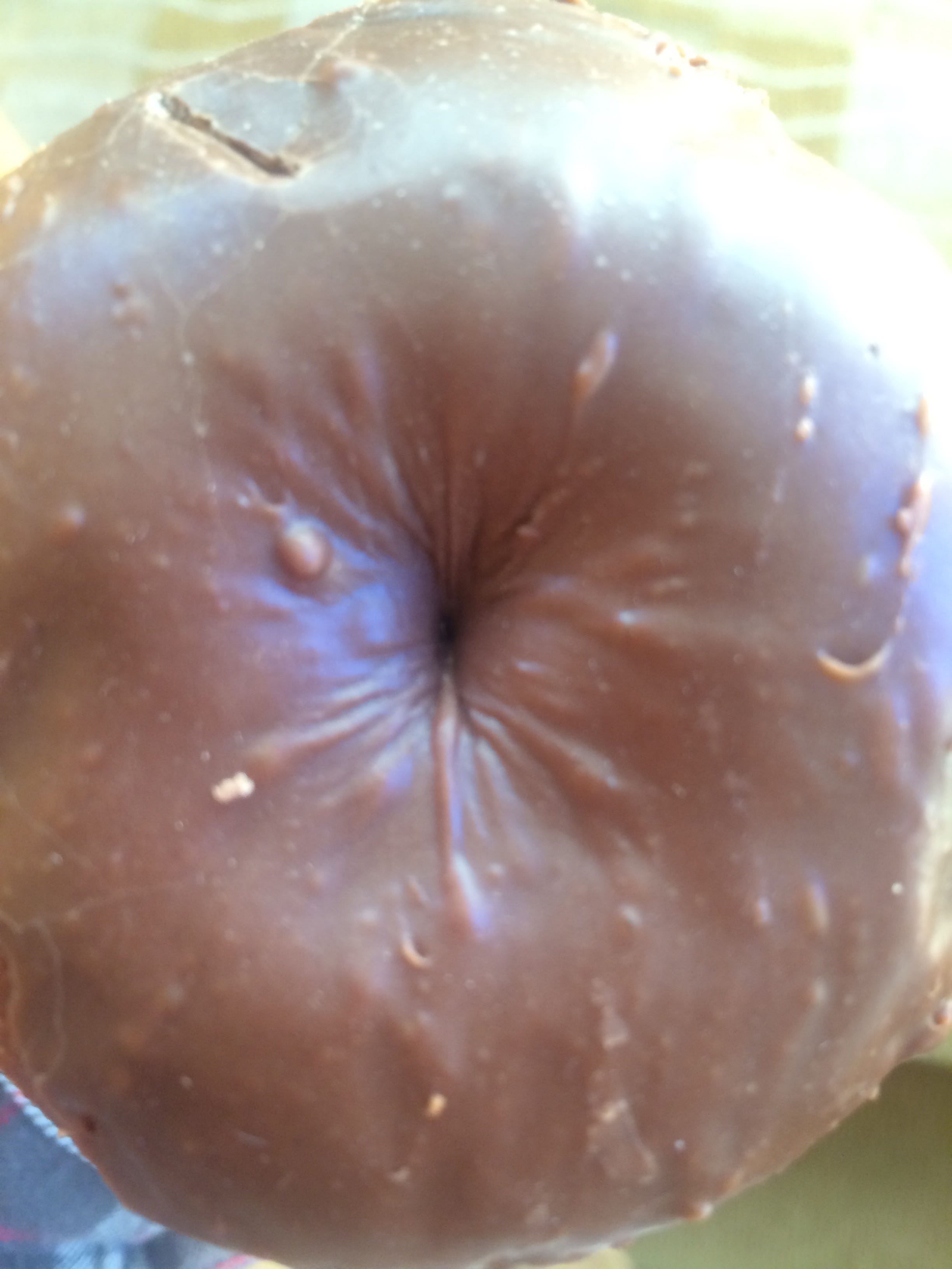 Anus donut