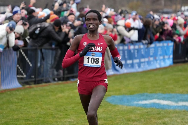 ncaa cross country championships