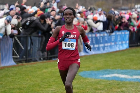 ncaa cross country championships