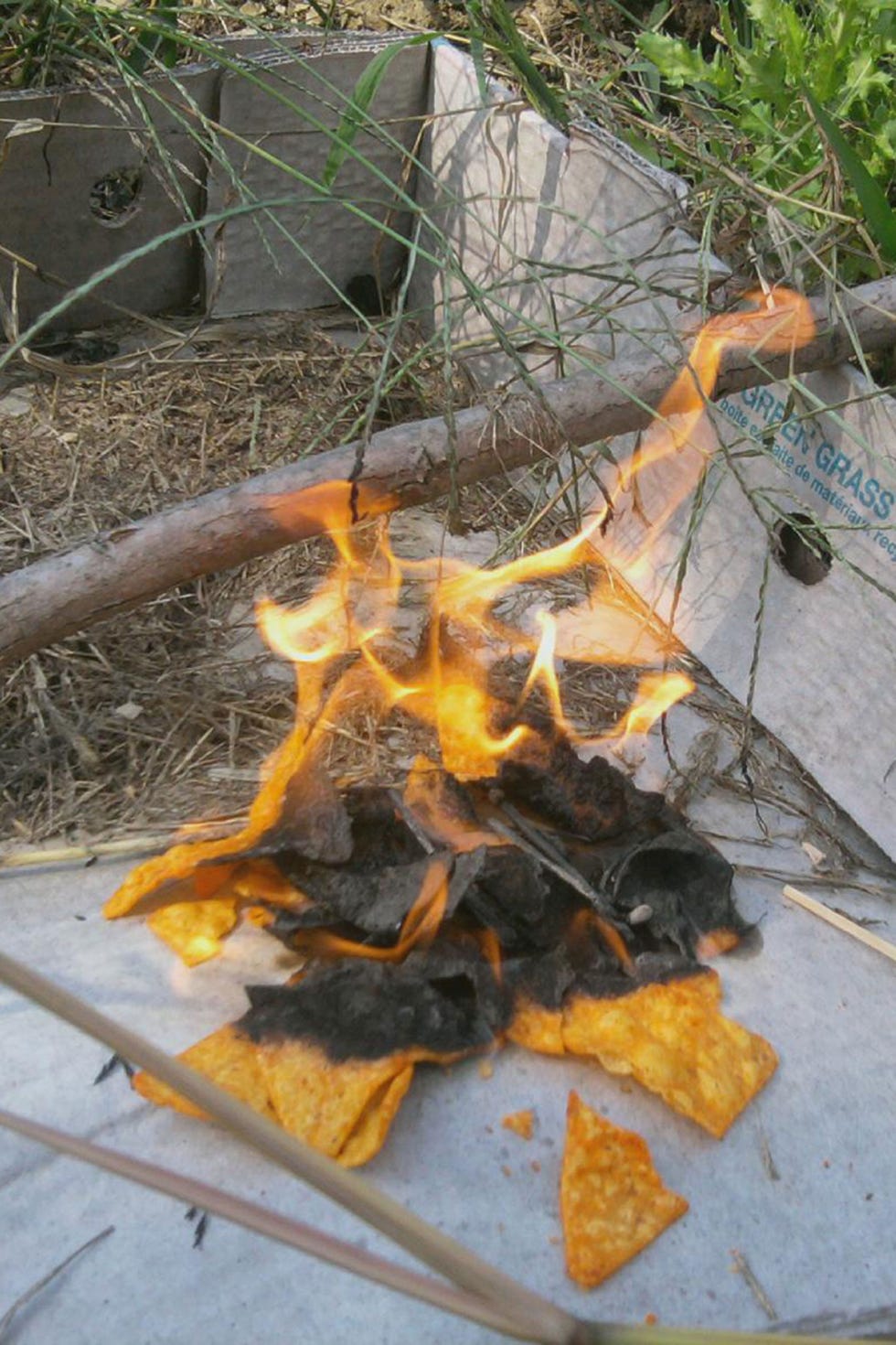 Leaf, Fire, Plant, Plane, 