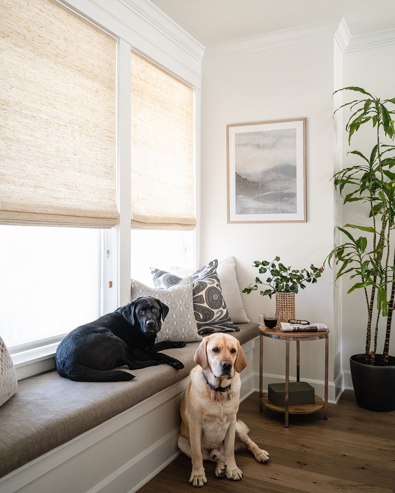 Dog window seat best sale