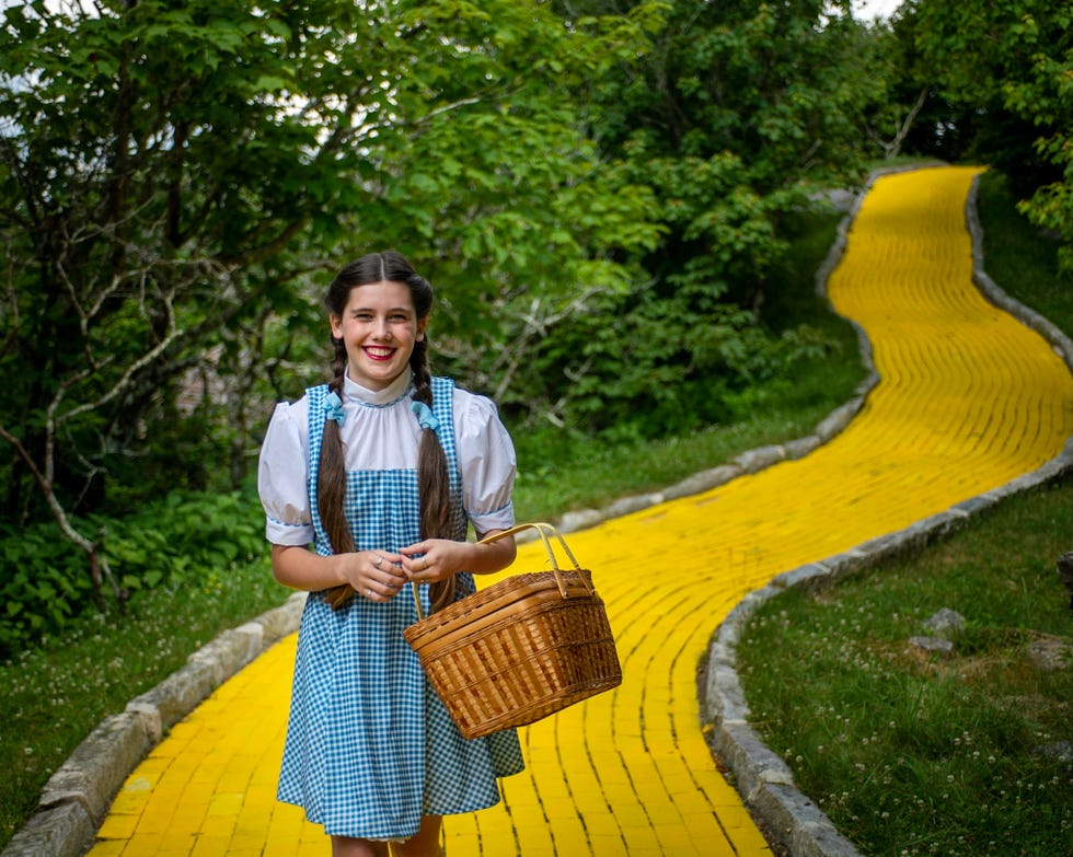 Yellow Brick Road Wizard of Oz Button Down