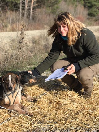 dottoressa chiara adorini veterinario