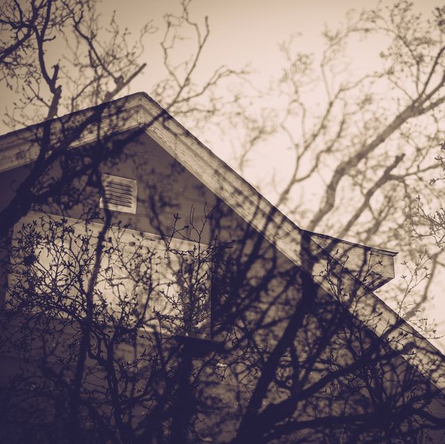 double exposure of bare trees and house