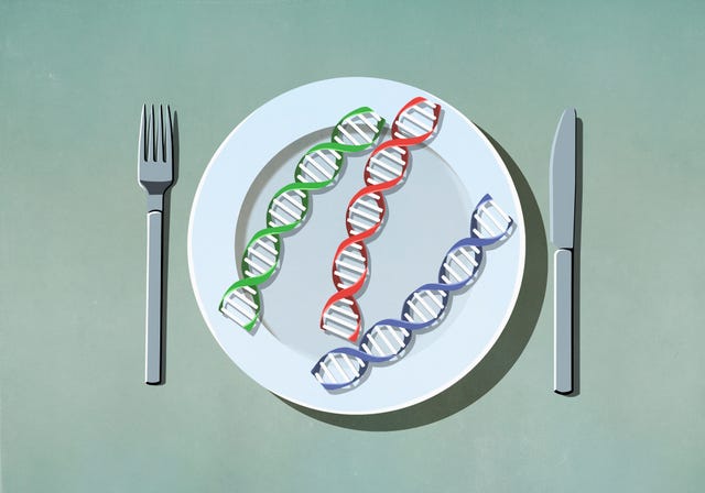 dieta genética