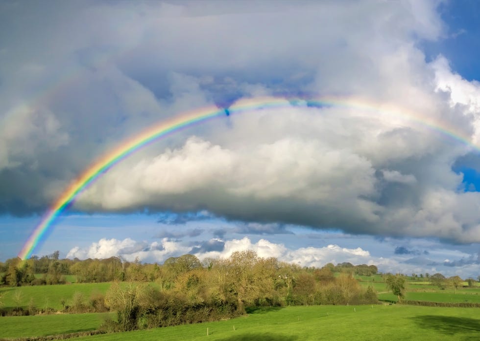 a green meadow with a rainbow over it