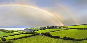 25 St. Patrick's Day Quotes - Best Irish Sayings for St. Paddy's Day