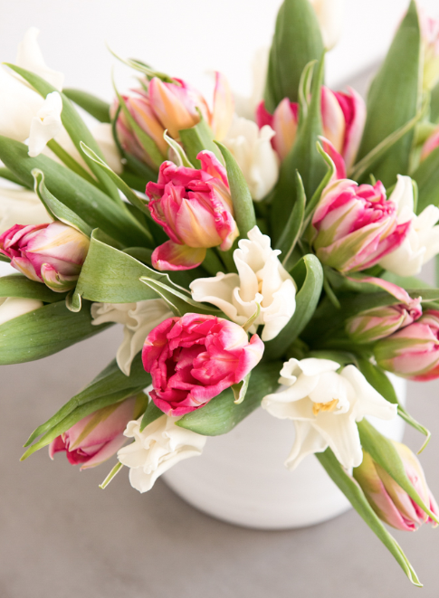 7 Gorgeous Long - The Lasting Cut Flowers