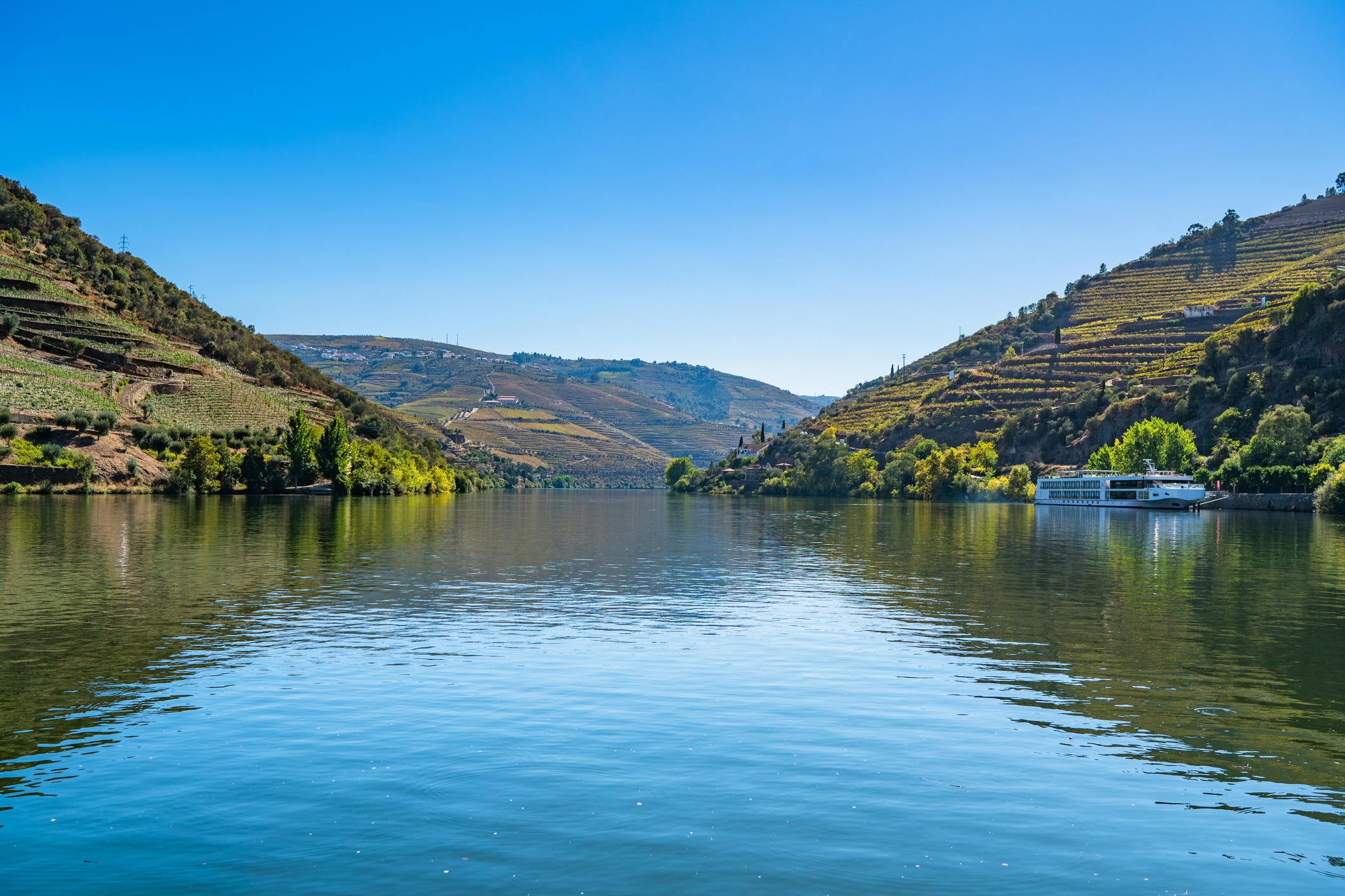best cruises