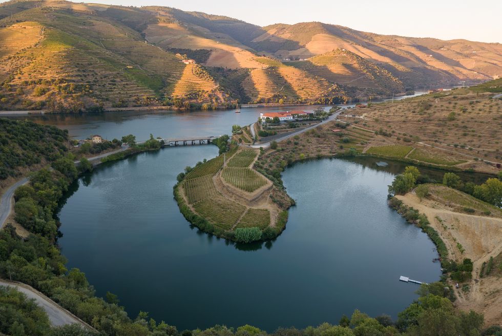 douro wine valley region, portugal vineyards landscape with beautiful farm tourist attraction and travel destination drone aerial top view bend shape river