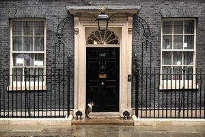 larry the cat waits at the door of 10 downing street