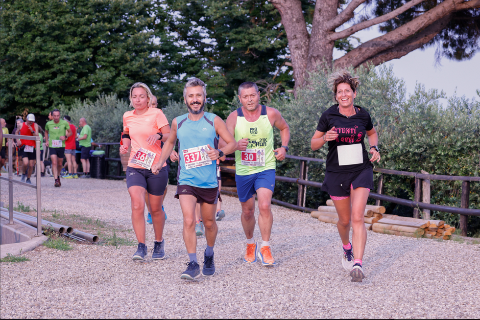dozza wine trail