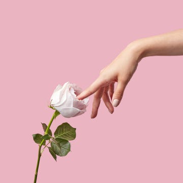 a hand gently touching a pink rose against a pink background