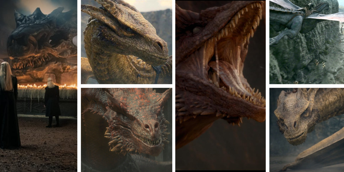 A Guide to House of the Dragons' Many Dragons